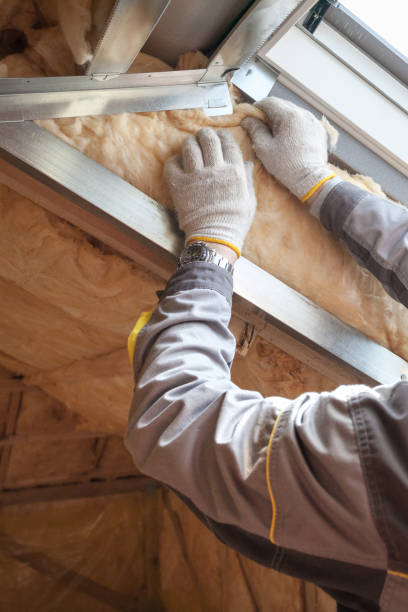 Best Insulation Maintenance and Repair in Clay, CA